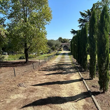 Le Bois De Montpouillan