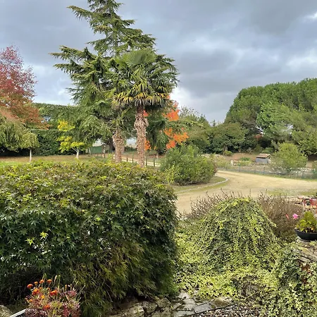 Le Bois De Montpouillan