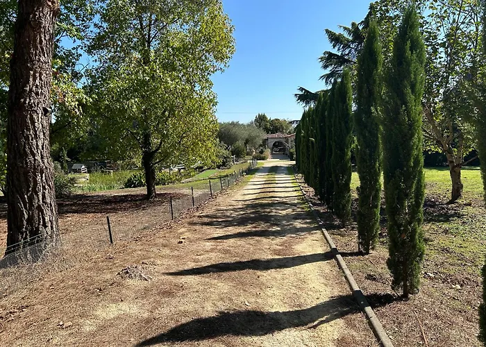 Le Bois De Montpouillan